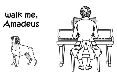Boxer T-Shirt — Walk Me, Amadeus | Cotton V-Neck