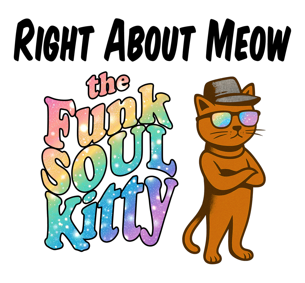 Right About Meow - the Funk Soul Kitty | Cotton V-Neck T-Shirt
